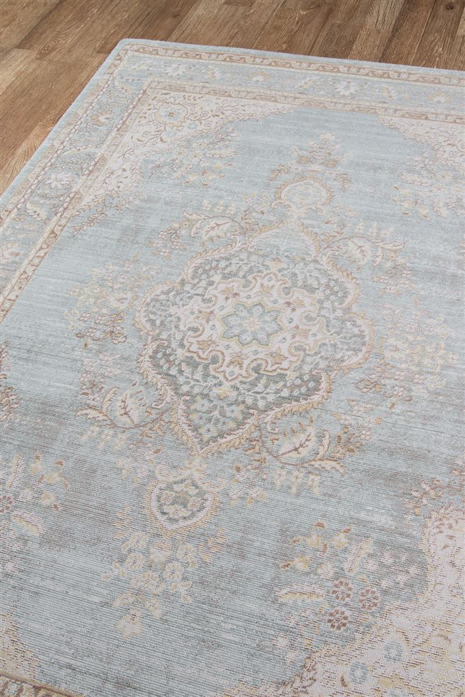 Traditional ISABEISA-1 Area Rug - Isabella Collection 
